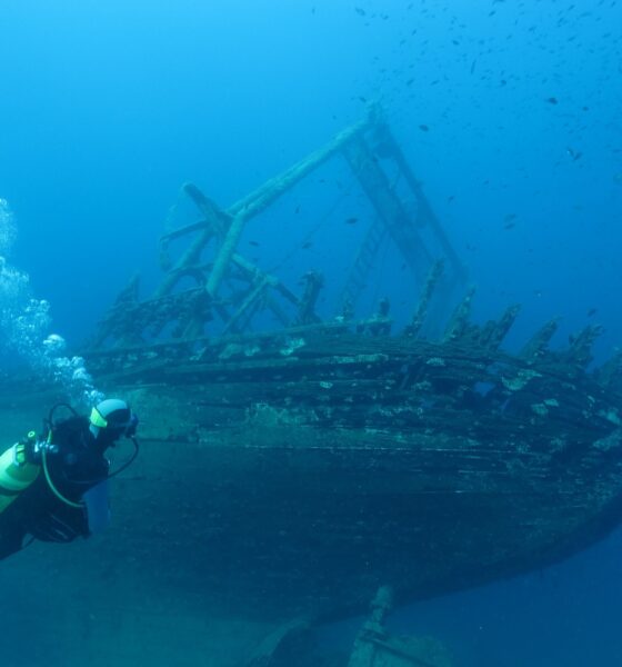 Mergulhador vendo navio naufragado.