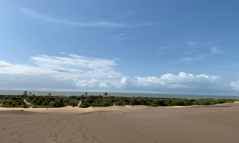 Imagem mostra as dunas com areias amarelas, ao fundo vegetação verde e o mar.