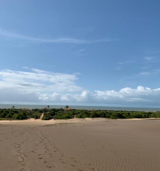 Imagem mostra as dunas com areias amarelas, ao fundo vegetação verde e o mar.