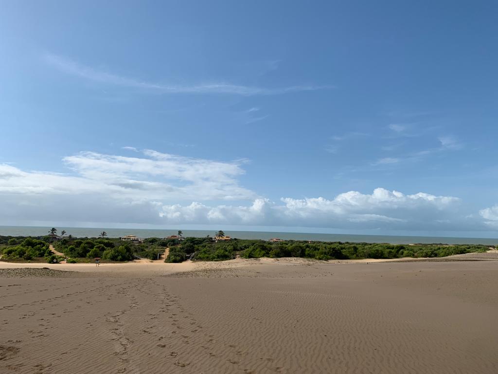 Imagem mostra as dunas com areias amarelas, ao fundo vegetação verde e o mar.