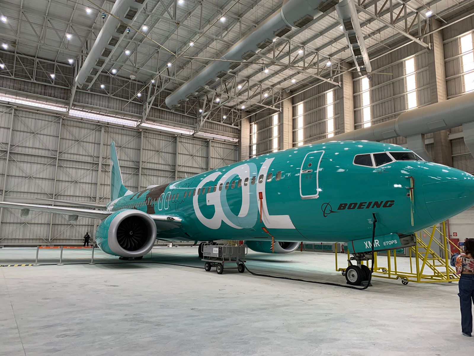 GOL Linhas Aéreas lança avião temático para celebrar iniciativas  sustentáveis - Uai Turismo
