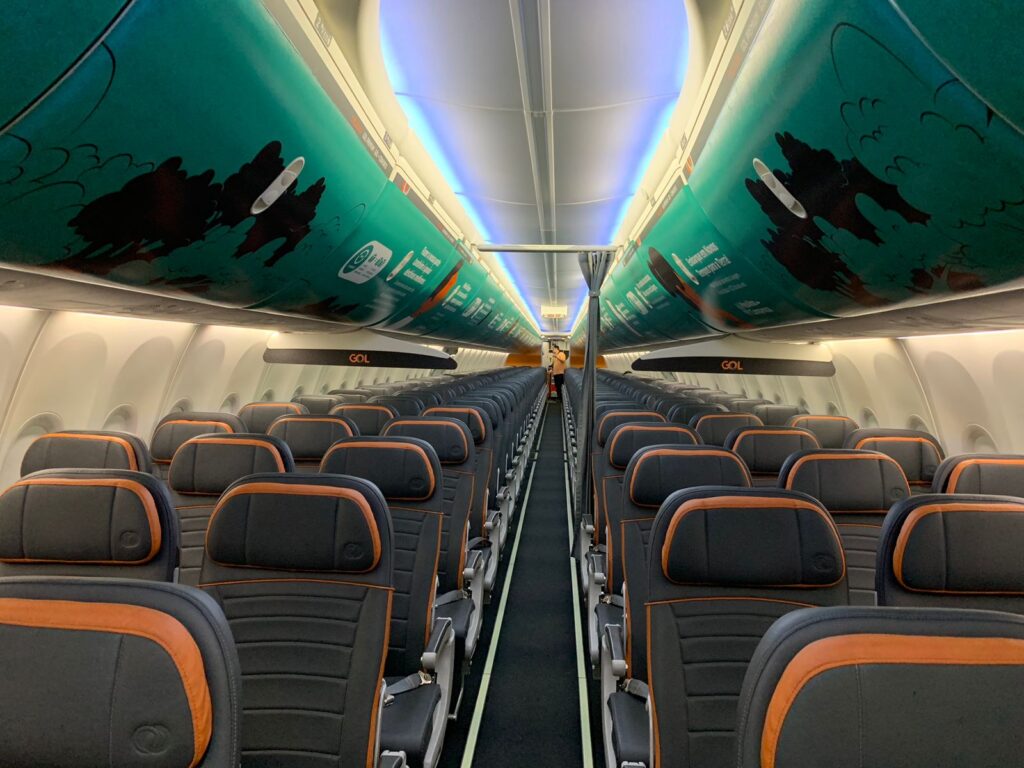 GOL Linhas Aéreas lança avião temático para celebrar iniciativas  sustentáveis - Uai Turismo