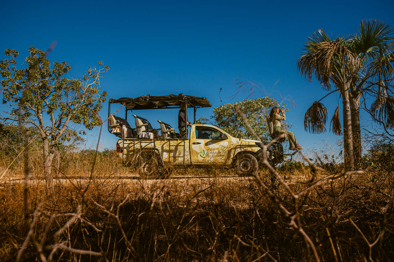 Parque Nacional Grande Sertão Veredas - Experiência Trijunção (Foto: Albori Ribeiro)