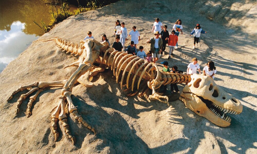 Atividade pedagógica sobre dinossauro no Sítio do Carroção