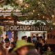 5ª edição do Organic Festival Trancoso acontecerá em outubro